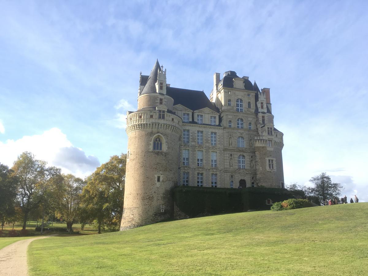 Manoir De Jouralem Bed & Breakfast Blaison Bagian luar foto