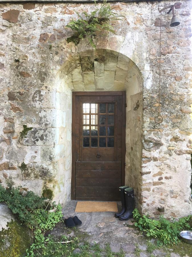 Manoir De Jouralem Bed & Breakfast Blaison Bagian luar foto